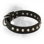 Shiny Leather Newfoundland Collar with Nickel Plated Pyramids