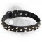 Fancy Design Leather Collar with Nickel Pyramids