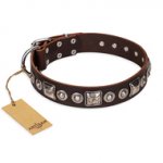 "Pierian spring" FDT Artisan Brown Leather Newfoundland Collar with Silvery Decorations