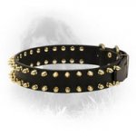 Designer Leather Newfoundland Collar with 2 Rows of Brass Spikes