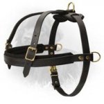 Leather Newfoundland Harness for Tracking and Pulling