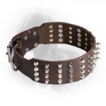 Leather Newfoundland Collar with 4 Rows of Spikes and Studs