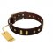 "Blinking Illusion" FDT Artisan Brown Leather Newfoundland Collar with Old Bronze-like Studs and Plates