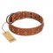 "Dreamy Gleam" FDT Artisan Tan Leather Newfoundland Collar Adorned with Stars and Squares
