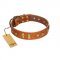 "Sand of Time" FDT Artisan Tan Leather Newfoundland Collar with Old Bronze-like Studs and Plates