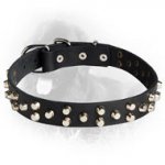 Fancy Design Leather Collar with Nickel Pyramids