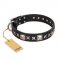 'Space Walk' FDT Artisan Black Leather Newfoundland Collar with Magnificent Adornments