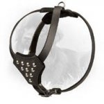 Studded Design Leather Newfoundland Harness for Puppies