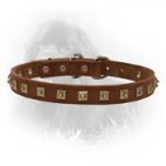 Newfoundland Handcrafted Leather 1 Row Square Studded Dog Collar