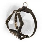 Puppy Size Leather Newfoundland Harness with Spikes