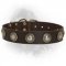 Newfoundland Leather Collar with Silver Conchos