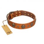 "Rockstar" FDT Artisan Tan Leather Newfoundland Collar with Engraved Studs and Medallions