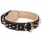 Newfoundland Leather Collar Spiked Nappa Padded