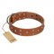 "Enchanted Skulls" FDT Artisan Tan Leather Newfoundland Collar with Chrome Plated Skulls