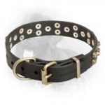 "Starry" Leather Newfoundland Collar with Studs