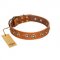 "Precious Relic" FDT Artisan Tan Leather Newfoundland Collar Adorned with Old Bronze Look Studs