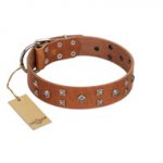 "Enchanted Skulls" FDT Artisan Tan Leather Newfoundland Collar with Chrome Plated Skulls