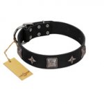 "Black Cavalier" Handmade FDT Artisan Black Leather Newfoundland Collar with Silver-Like Stars and Large Plates