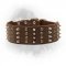 Wide Spiked and Studded Newfoundland Leather Collar