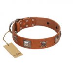 "Amorous Escapade" Embellished FDT Artisan Tan Leather Newfoundland Collar with Chrome Plated Crossbones and Plates