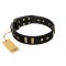 "Fit for Royalty" FDT Artisan Black Leather Newfoundland Collar with Plates and Small Square Studs