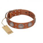"Far Star" FDT Artisan Tan Leather Newfoundland Collar with Engraved Studs
