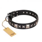 'Space Walk' FDT Artisan Black Leather Newfoundland Collar with Magnificent Adornments