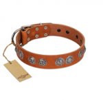 "Woofy Majesty" FDT Artisan Tan Leather Newfoundland Collar with Round Silver-like Plates