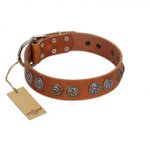 "Luxurious Life" Premium Quality FDT Artisan Tan Leather Newfoundland Collar with Round Adornments