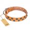 "Precious Sparkle" FDT Artisan Tan Leather Newfoundland Collar with Exclusive Decor