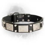 Newfoundland Leather Collar Decorated Nickel Cones Plates