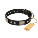 "Pirates Gold" FDT Artisan Black Leather Newfoundland Collar with Old Silver Look Plates and Skulls