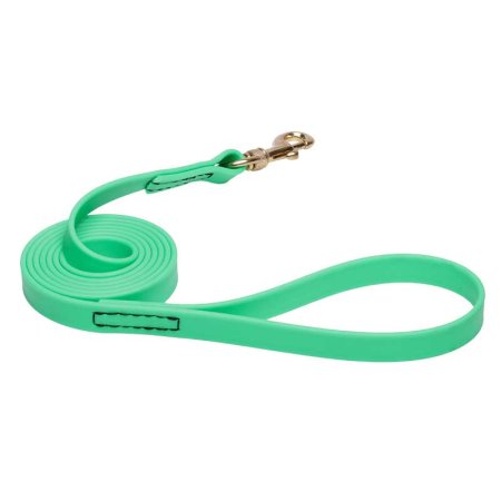 Green Waterproof Newfoundland Leash Made of Biothane