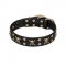 'Jolly Rojer' FDT Artisan Newfoundland Leather Dog Collar with Pirate Skulls and Studs - 1 1/2 inch (40 mm) wide