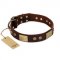 "Shining Armour" FDT Artisan Brown Leather Newfoundland Collar with Decorations