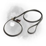 Perfect Combination Leather Newfoundland Choke Collar and Leash