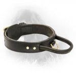Extra Durable Leather Newfoundland Collar with Comfortable Handle