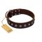 "Spring Flower" Stylish FDT Artisan Brown Leather Newfoundland Collar for Comfy Walks