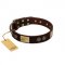 "Bow-Wow Effect" FDT Artisan Brown Leather Newfoundland Collar with Plates and Ornate Studs