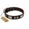 "Baller Status" FDT Artisan Brown Leather Newfoundland Collar Adorned with a Set of Chrome Plated Studs and Plates