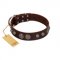 "Choco Brownie" FDT Artisan Brown Leather Newfoundland Collar Adorned with Silver-Like Conchos