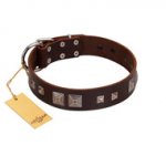 "Object of Virtu" FDT Artisan Brown Leather Newfoundland Collar with Old Silver-like Square Studs and Pyramids