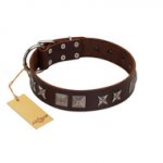 "Needle Stories" Modern FDT Artisan Brown Leather Newfoundland Collar with Square Engraved Plates and Four-Point Stars