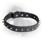 Newfoundland Leather Collar Spiked 30 mm