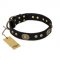 "High Fashion" FDT Artisan Studded with Plates Black Leather Newfoundland Collar