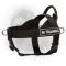 Universal Nylon Newfoundland Harness with ID Patches