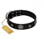 "Blue Gems" FDT Artisan Black Leather Newfoundland Collar with Chrome Plated Studs and Conchos