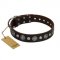 "Victory Ode" FDT Artisan Brown Leather Newfoundland Collar with Silver-like Plated Decorations