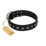 "Black Knight" Handmade FDT Artisan Black Leather Newfoundland Collar with Silver-Like Studs