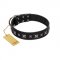"Polar Lights" Designer FDT Artisan Black Leather Newfoundland Collar with Silver-Like Studs